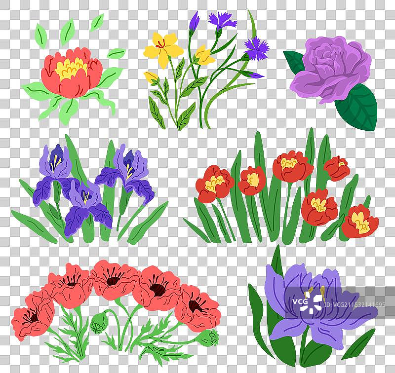 春天的花朵与春季的植物生长图片素材