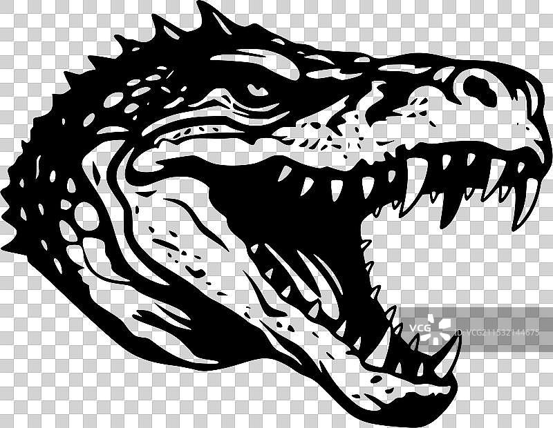 鳄鱼 - 黑白色图片素材