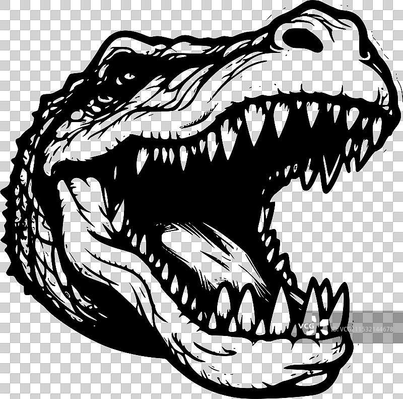 鳄鱼 - 黑白色图片素材