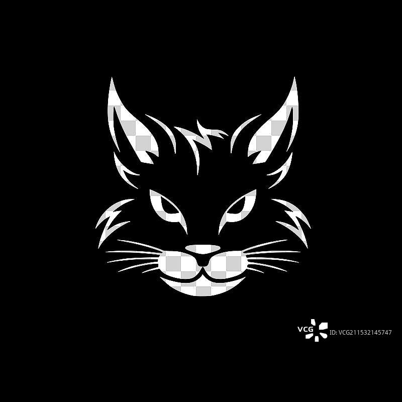 黑白猫图片素材