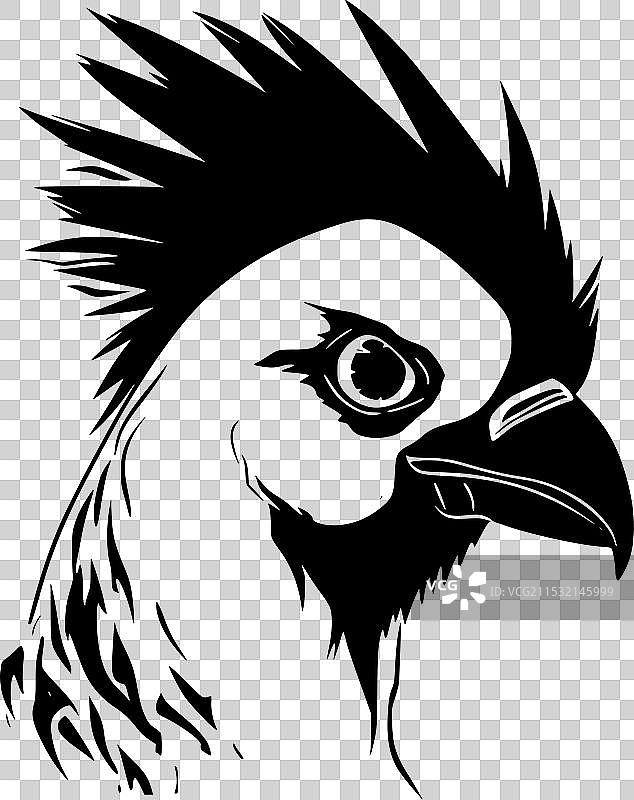 黑白鹦鹉 - 隔离图标图片素材