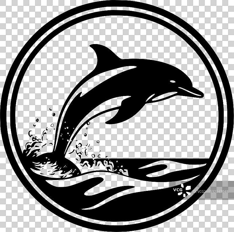 黑白海豚图片素材