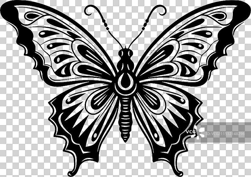 飞 - 极简和简单的轮廓图片素材