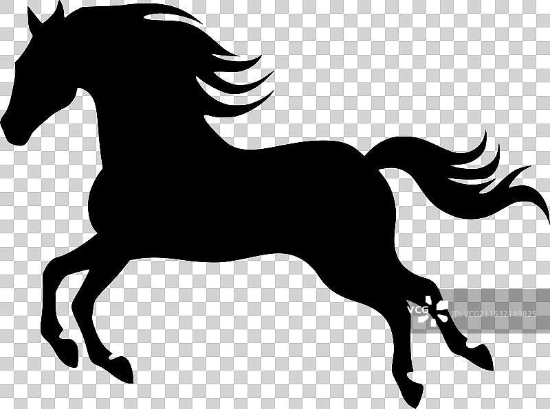 黑白马的孤立图标图片素材