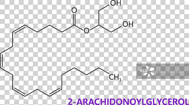 神经递质2-花生四烯酸甘油酯的化学式图片素材