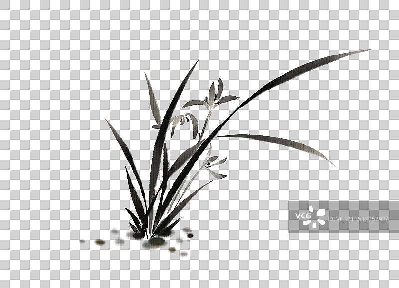 兰花植物花卉—国画古风水墨写意工笔国风元素图片素材