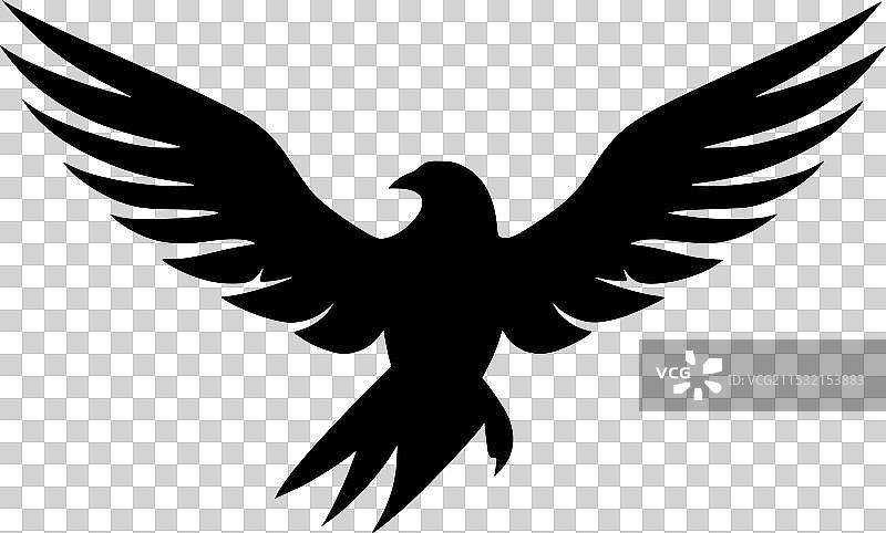 黑白孤立的海燕图标图片素材