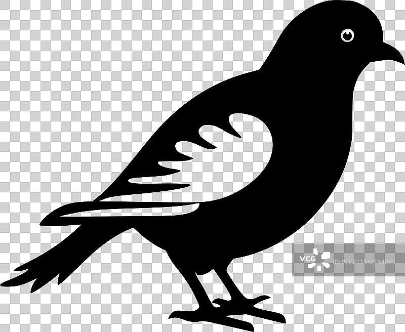 鸽子 - 极简和简单的轮廓图片素材