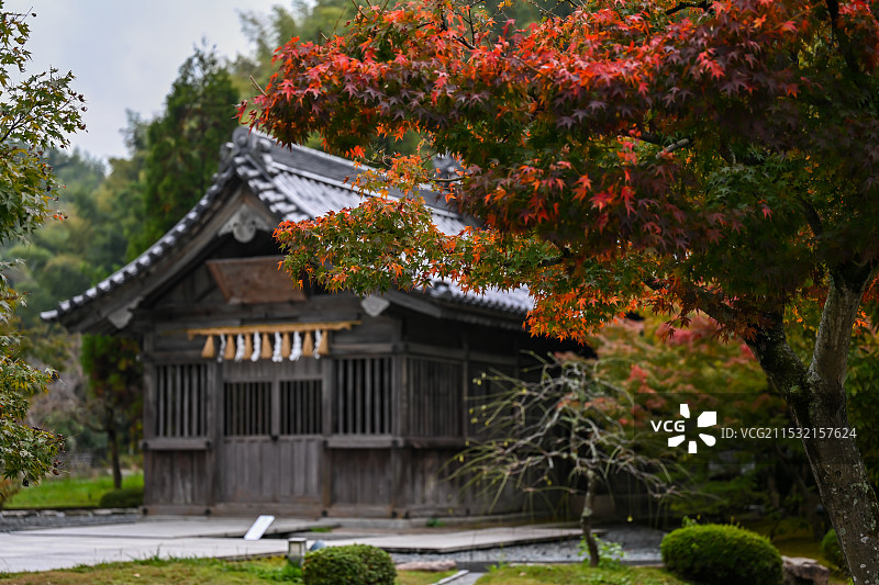 日本太宰府天满宫红叶和寺庙建筑图片素材