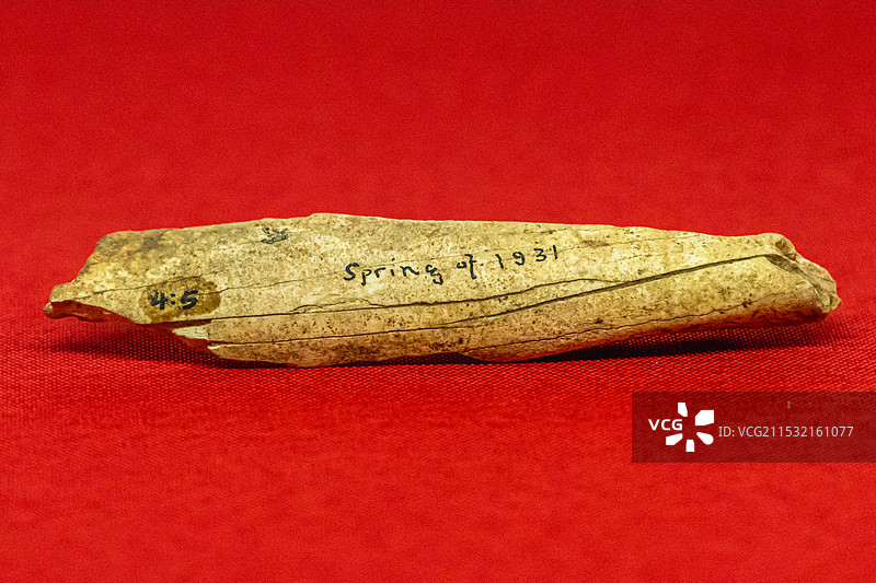 骨器（旧石器时代）南京博物院藏 出土于北京房山周口店猿人遗址图片素材