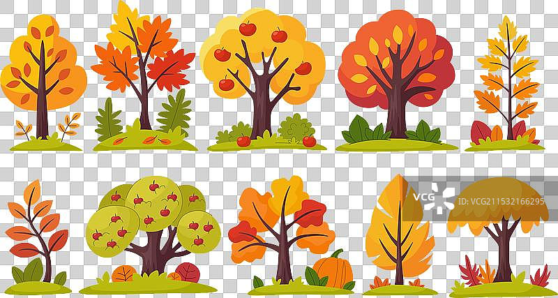 秋季树木和灌木丛的森林集合图片素材