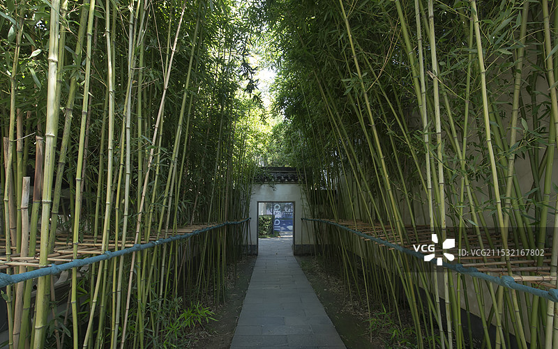 南京总统府古建筑与绿色竹林图片素材