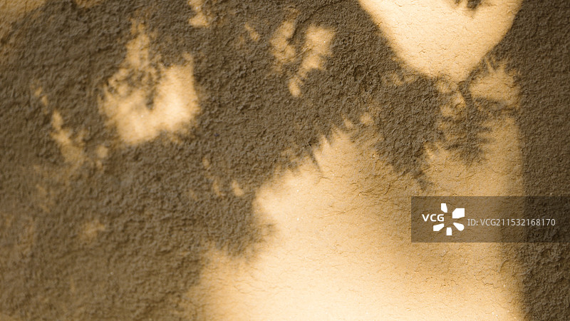 秋天的光影图片素材