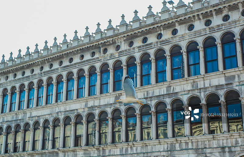 威尼斯广场与海鸥图片素材