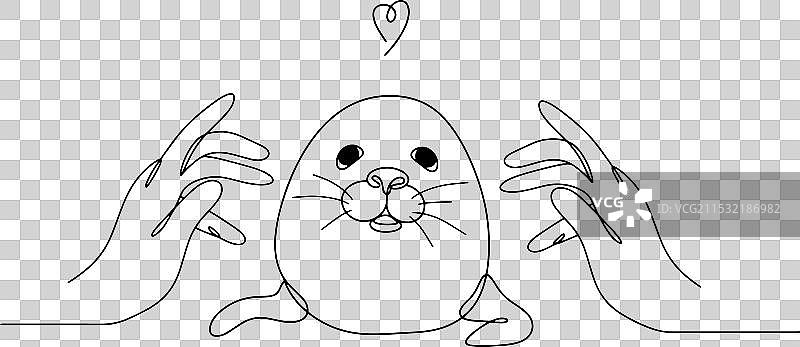 海豹宝宝在保护手中图片素材