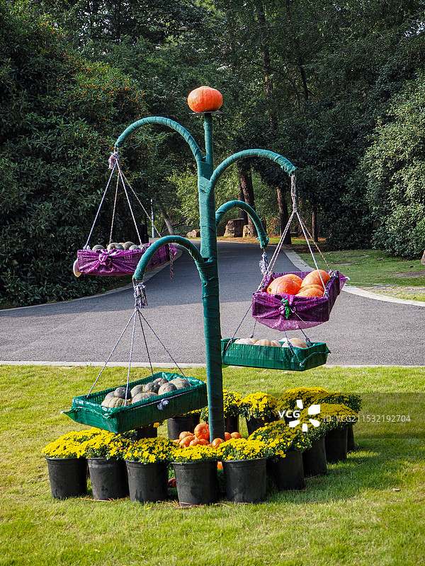 合肥植物园南瓜节图片素材