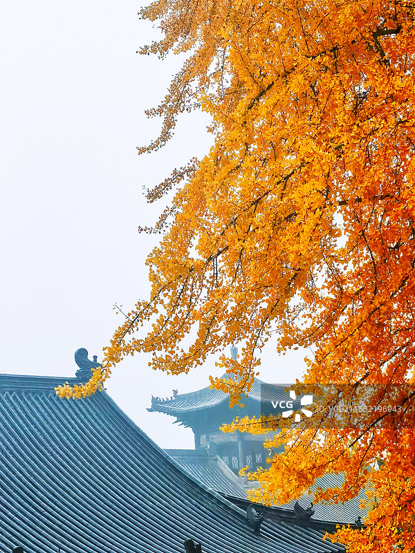 的秋天和阳光明媚的小镇图片素材