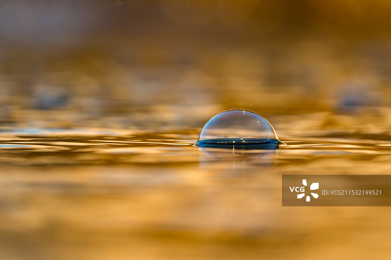 夕阳照在水面上漂浮的泡沫图片素材