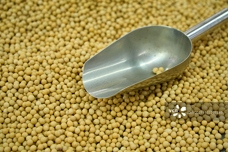 黄豆图片素材