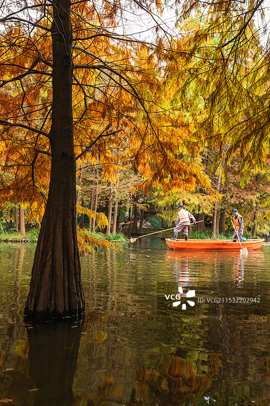 秋天的燕雀湖风光图片素材