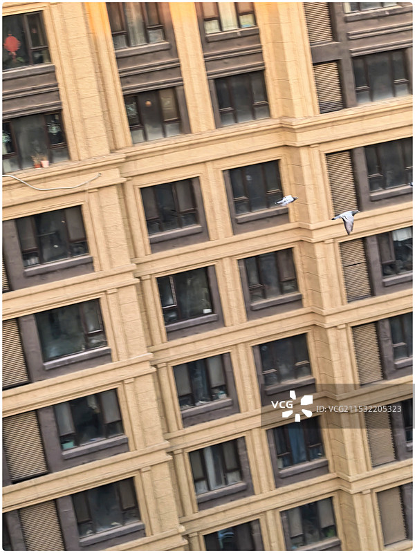 冬日—夕阳38图片素材