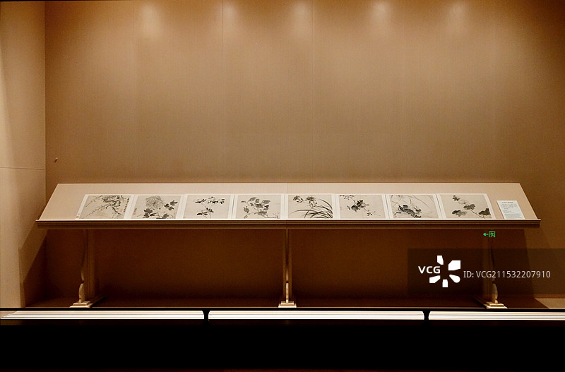 上海博物馆东馆绘画馆明代陈淳墨花图册图片素材