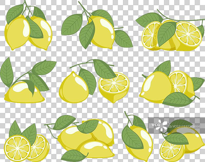 柠檬树和花的卡通素描图片素材