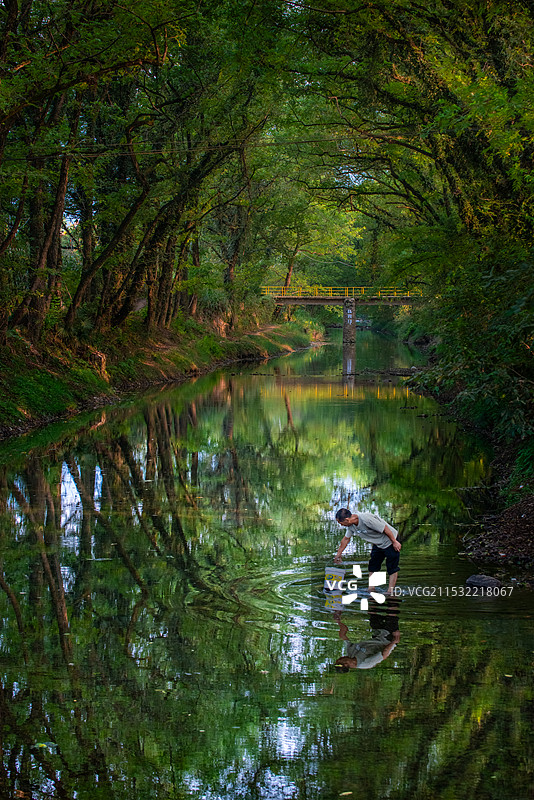 湖北大冶市乡村池塘美景图片素材