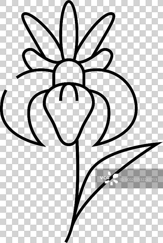 鸢尾花线条图标图片素材