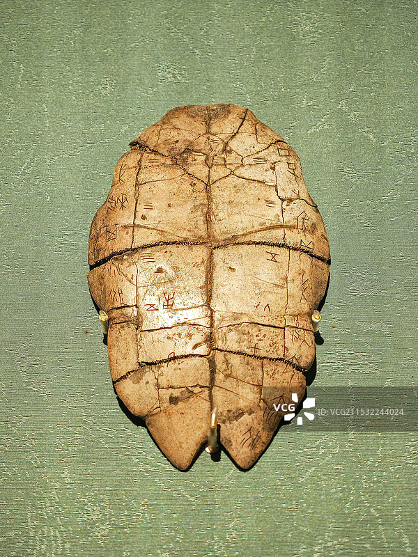 殷王武丁贞问妇婡患疾刻辞卜甲，故宫博物院藏品图片素材