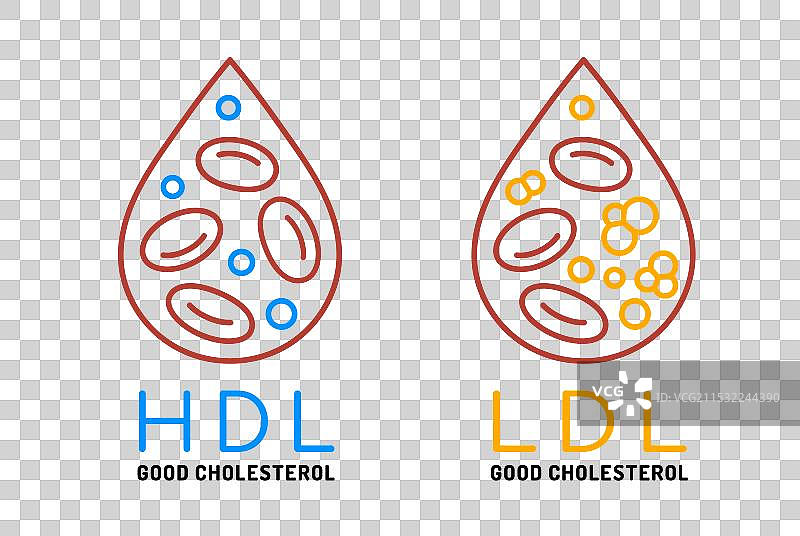 高密度脂蛋白（HDL）为好胆固醇，低密度脂蛋白（LDL）为坏胆固醇图标图片素材