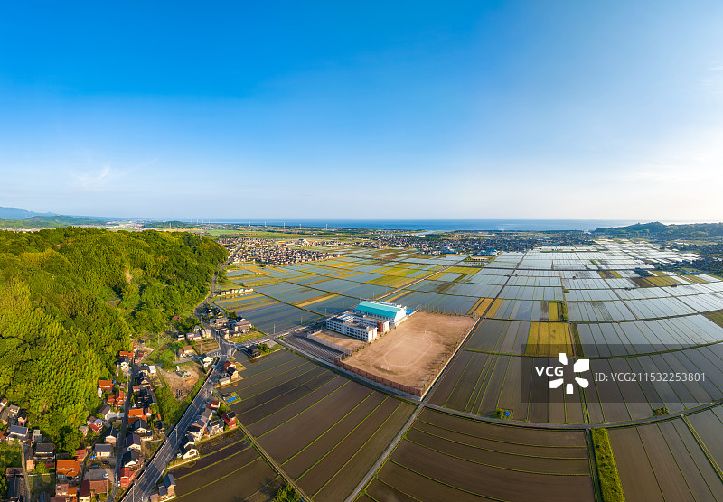 霓虹国，日本本州，中国地区，汤梨滨町，东乡湖，東鄉池，东乡温泉，山阴八景，日本农田，水稻种植，航拍图片素材