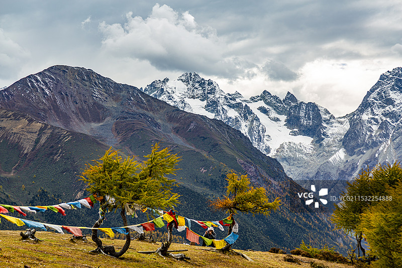 云南迪庆香格里拉白马雪山双U型山谷秋天的森林风景图片素材