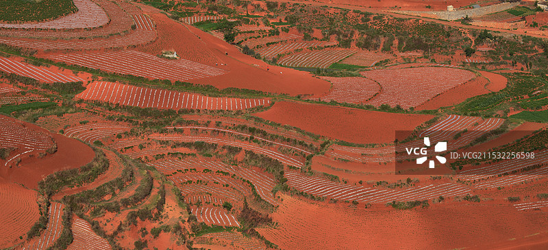 红土地图片素材