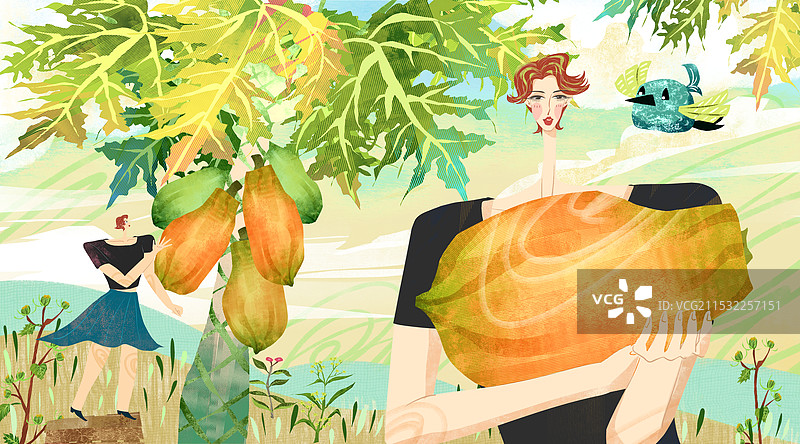 木瓜树采摘插画图片素材