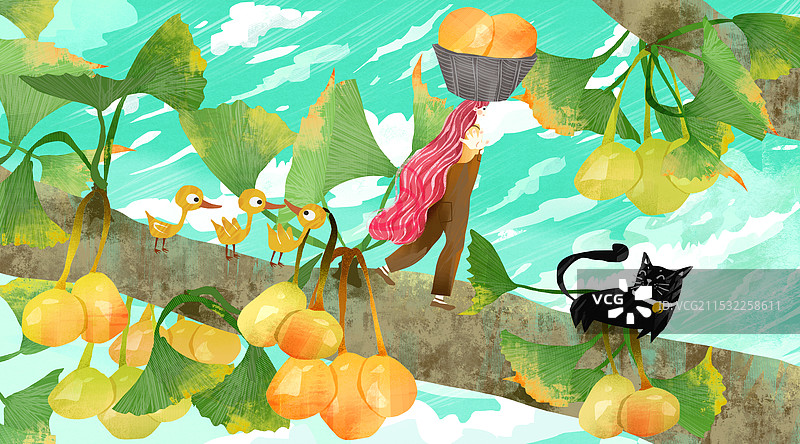 采摘银杏果插画图片素材