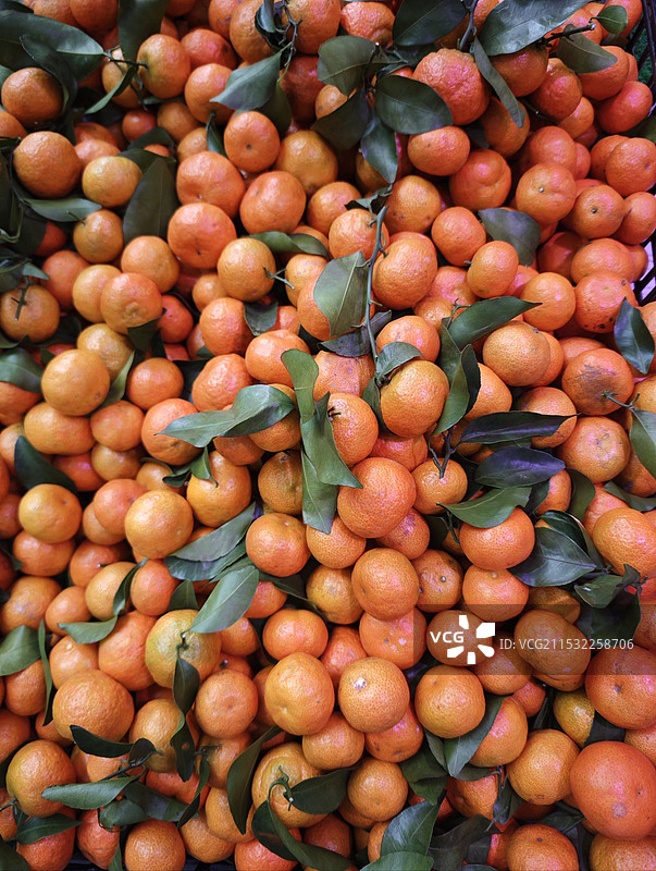 沙糖桔图片素材