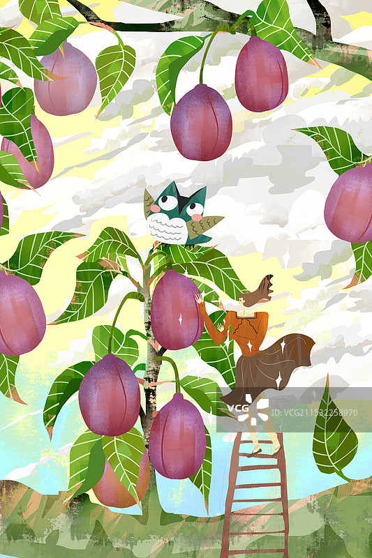 采摘乌梅插画图片素材