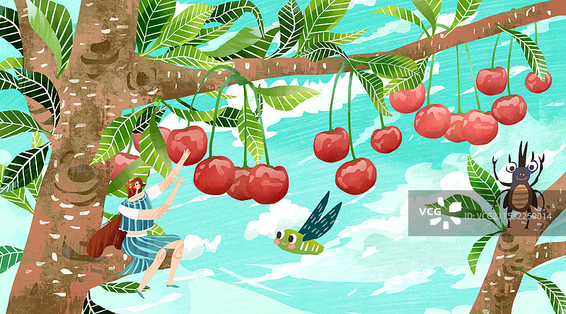 采摘樱桃插画图片素材