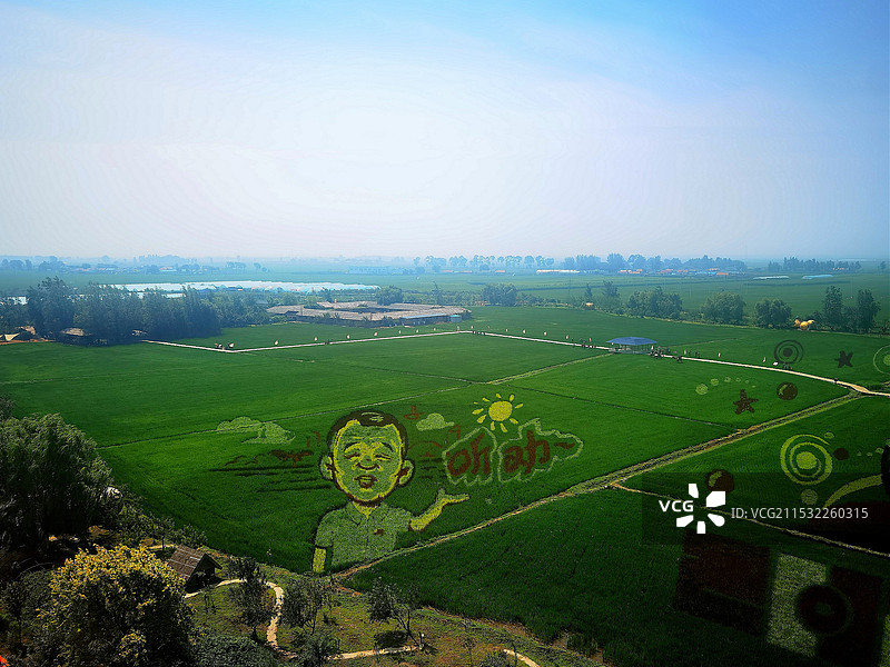 稻梦空间风景区景观系列之稻田画风光（辽宁省沈阳市）图片素材