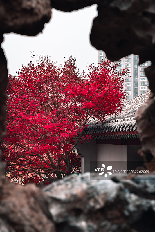 秋天景色图片素材