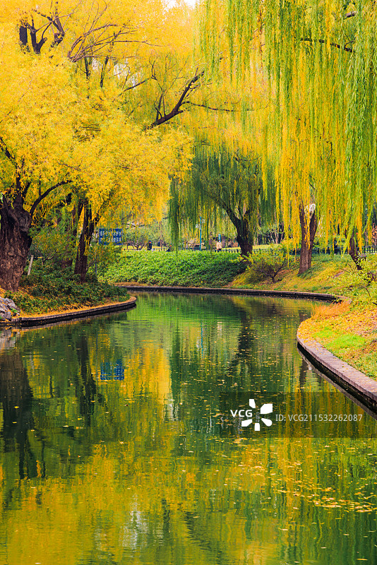 秋天景色图片素材