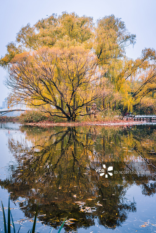 秋天景色图片素材