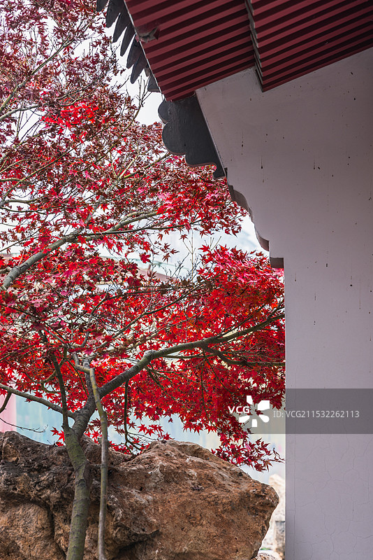 秋天景色图片素材