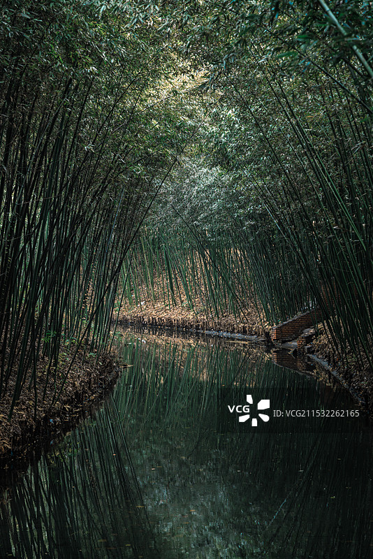 秋天景色图片素材