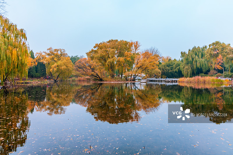 秋天景色图片素材