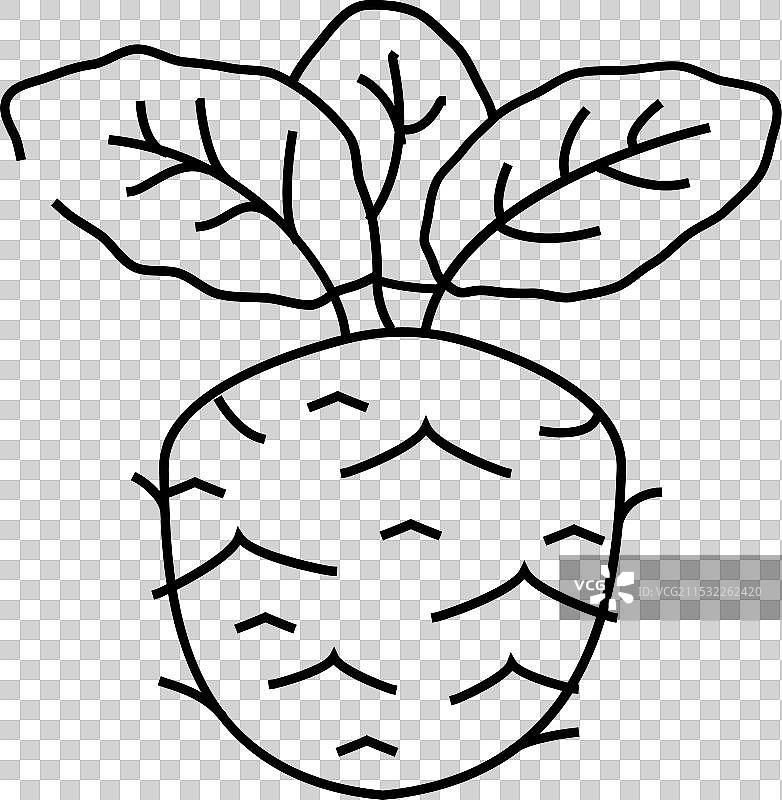 球芽甘蓝线条图标图片素材