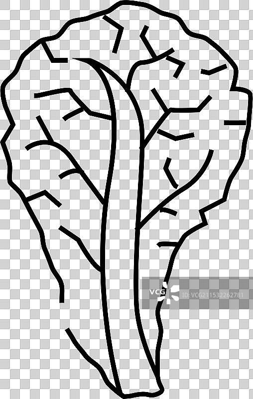 红色生菜线条图标图片素材