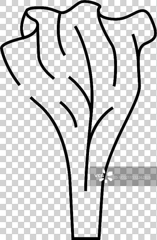 生菜健康食品线条图标图片素材