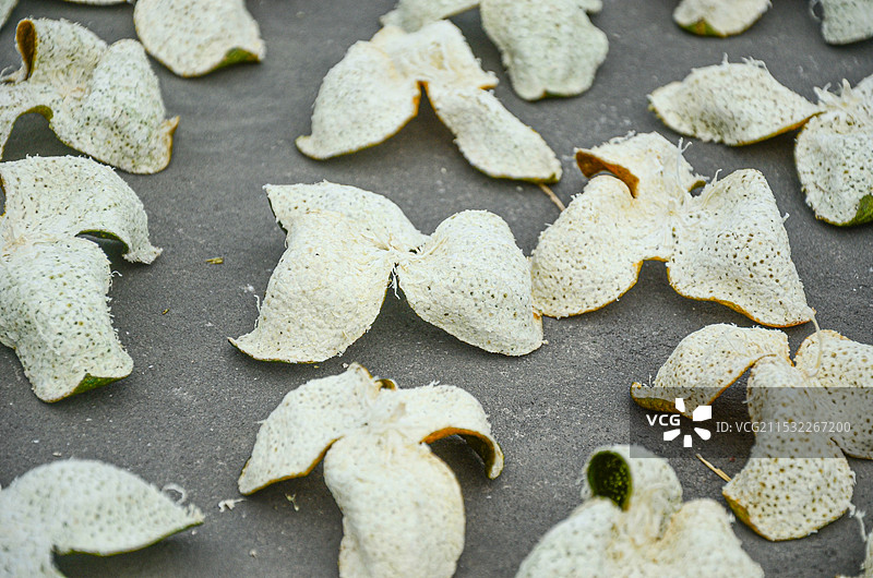 晾晒新会柑皮，新会区，江门市，广东省。图片素材